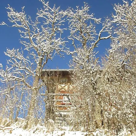 Achentaler Bauernhaeusl בית חווה