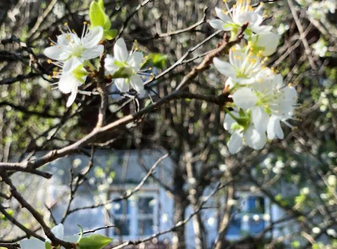 Achentaler Bauernhaeusl *